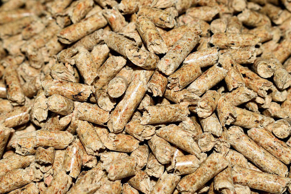 Pellet rodzaje