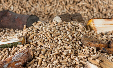 Pellet