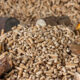 Pellet